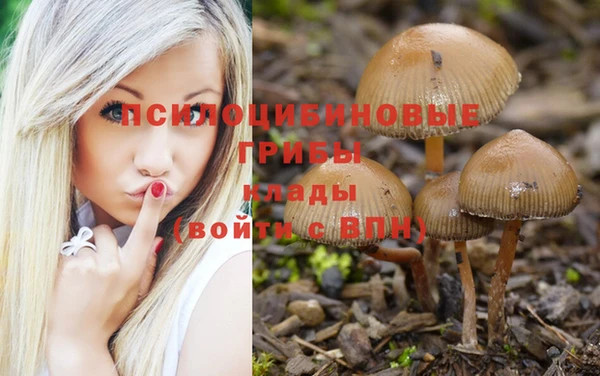 амф Арсеньев
